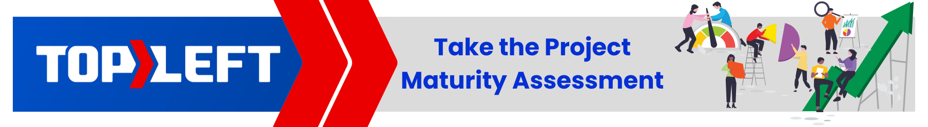 Take the Project Maturity Assessment