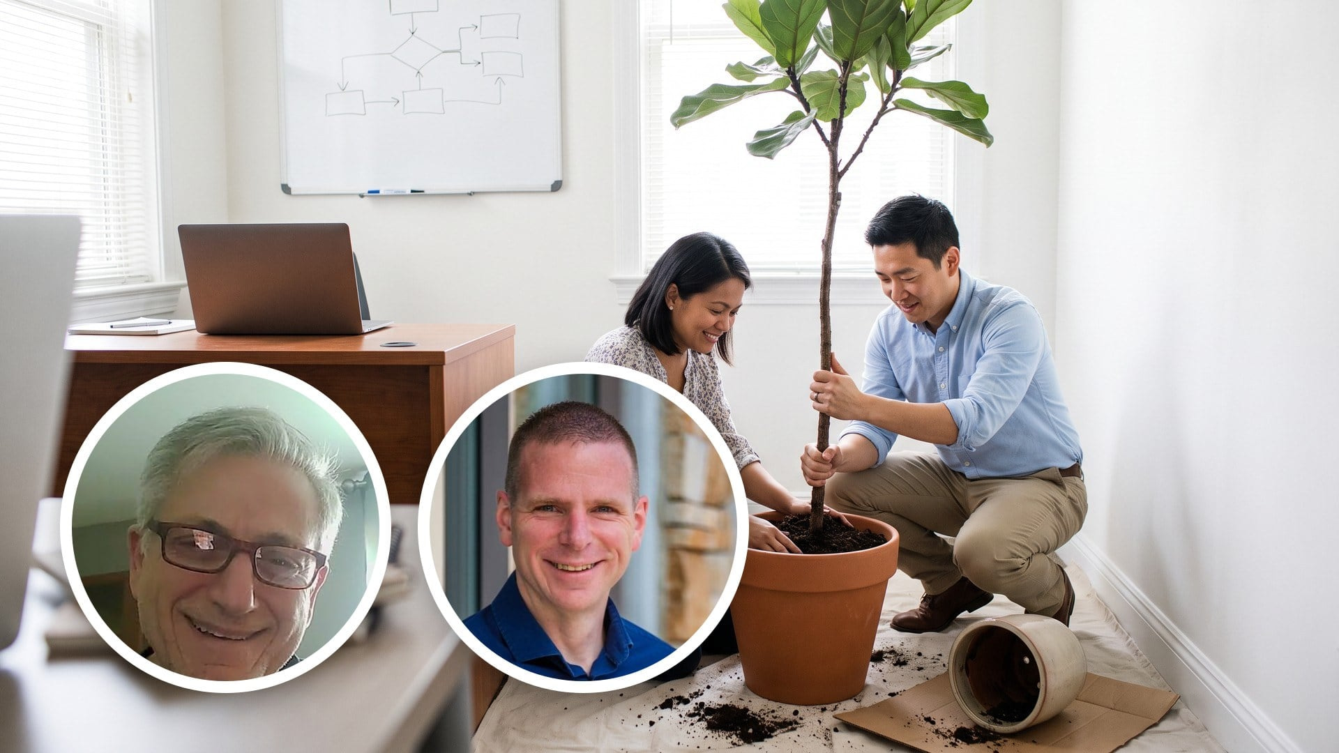 A manager and a younger colleague repot a tall leggy plant into a large floor planter, smiling as he holds it upright.