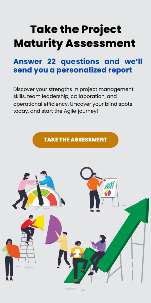 Take the Project Maturity Assessment Test 300x600-1