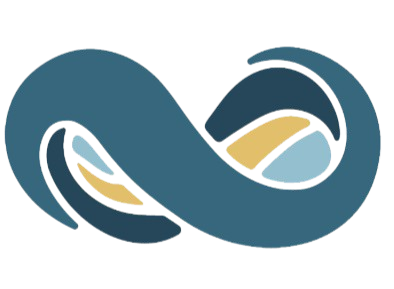 netsuite_2-removebg-preview