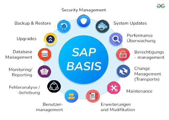 sap-removebg-preview