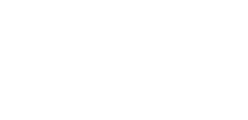 Lyra Technology Group